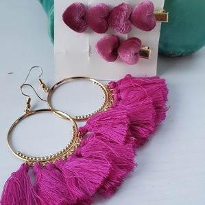 Hair clip and earrings